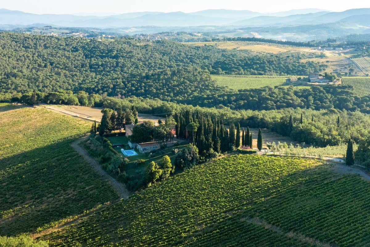 Folonari, il fatturato supera i 10 milioni. Cresce il peso dell’hospitality Folonari, il fatturato supera i 10 milioni. Cresce il peso dell’hospitality