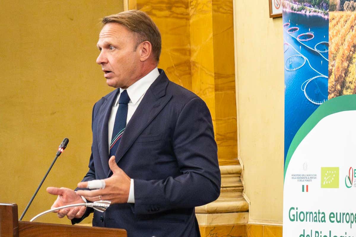 Il ministro dell'Agricoltura Francesco Lollobrigido