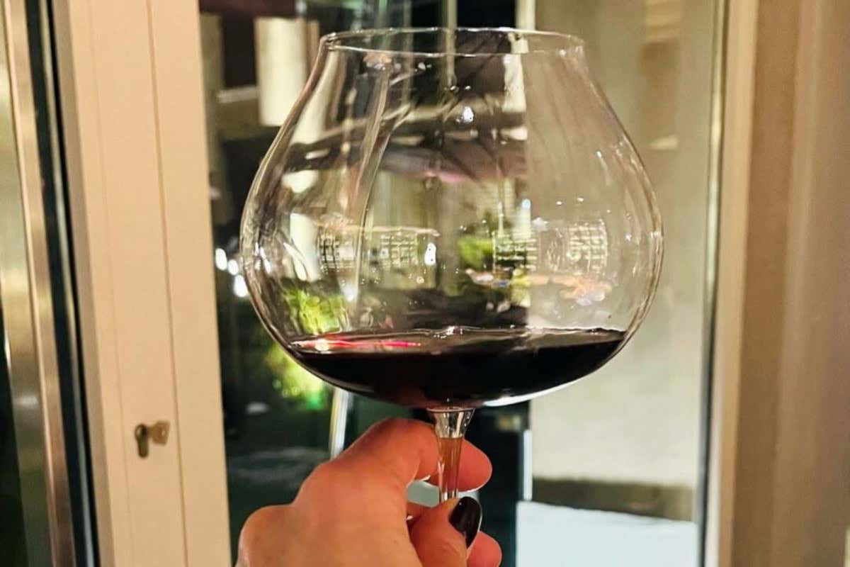 Il territorio conferisce una grande mineralità al vino
