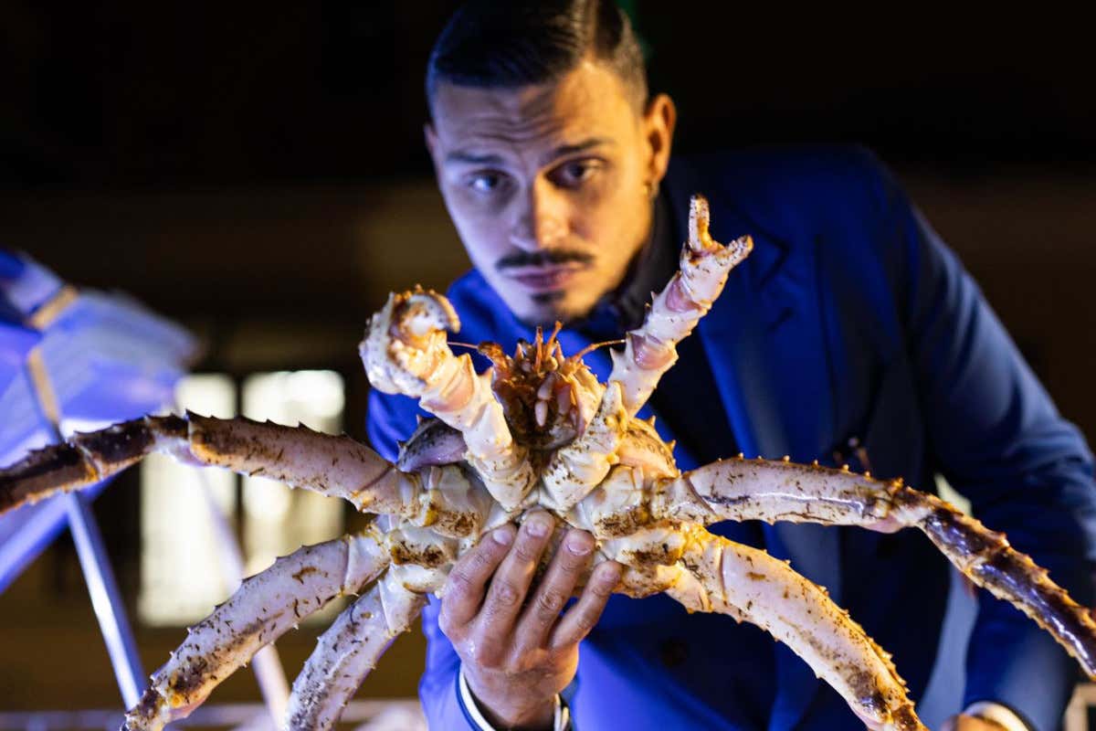 Giuseppe Scicchitano