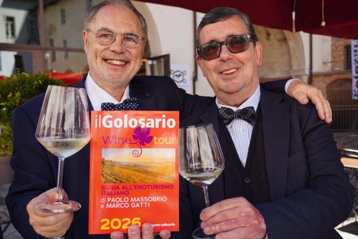 Enoturismo, oltre il 60% delle cantine registra un aumento delle vendite dirette Enoturismo, oltre il 60% delle cantine registra un aumento delle vendite dirette