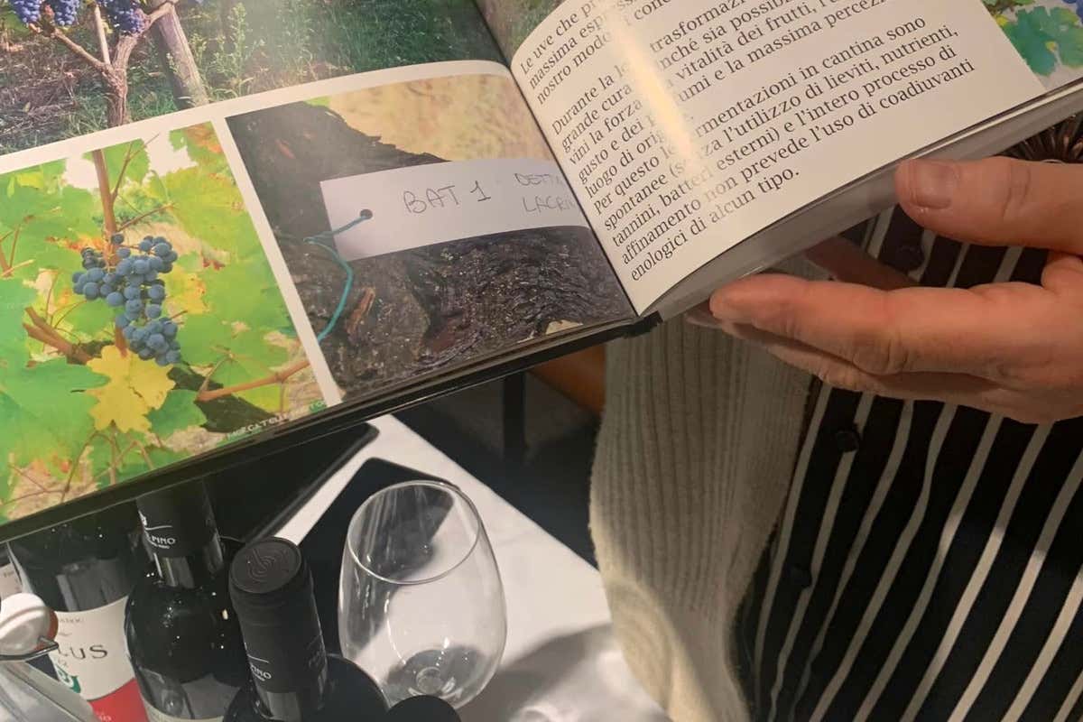 Autoctono si nasce... a Firenze: oltre 60 vitigni italiani in degustazione Autoctono si nasce... a Firenze: oltre 60 vitigni italiani in degustazione