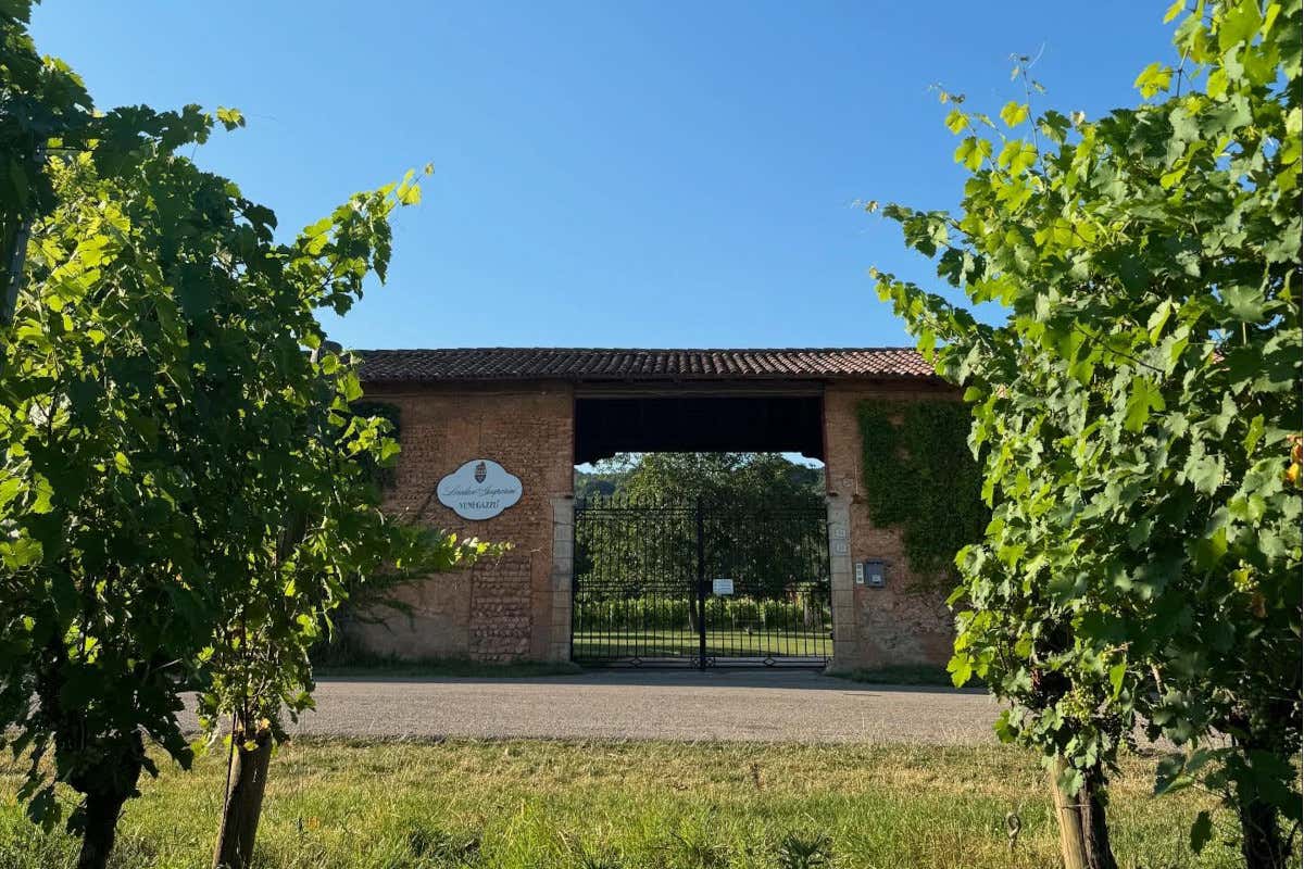 Un Capo di Stato a Milano, il vino di Loredan Gasparini che ingannò De Gaulle