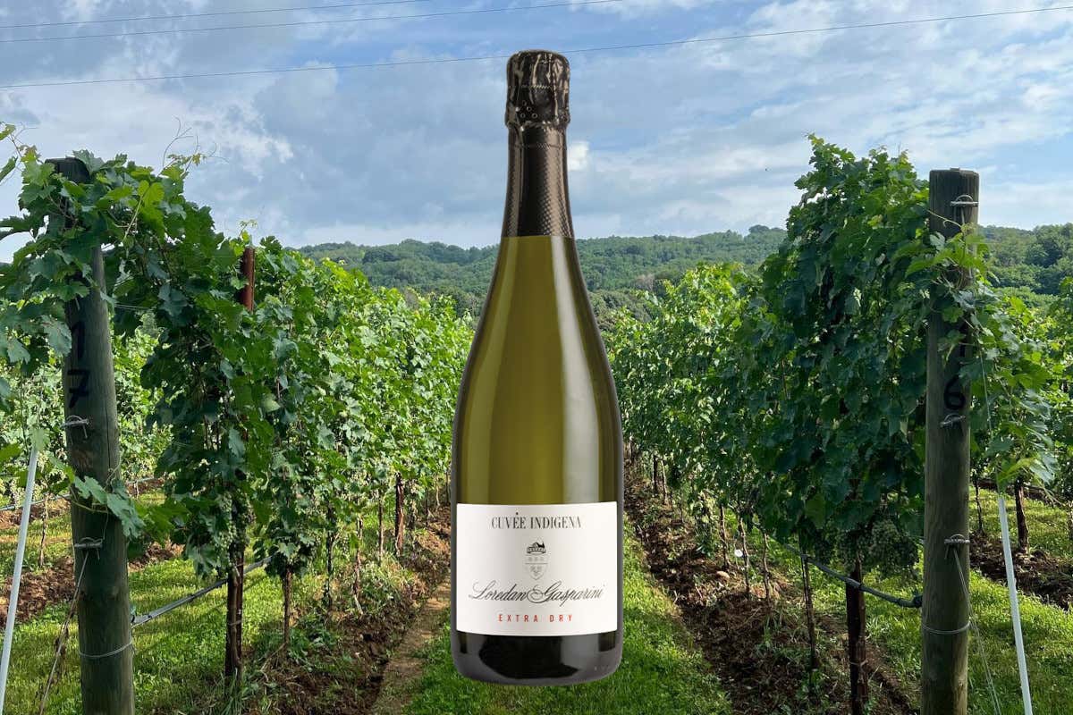 Un Capo di Stato a Milano, il vino di Loredan Gasparini che ingannò De Gaulle