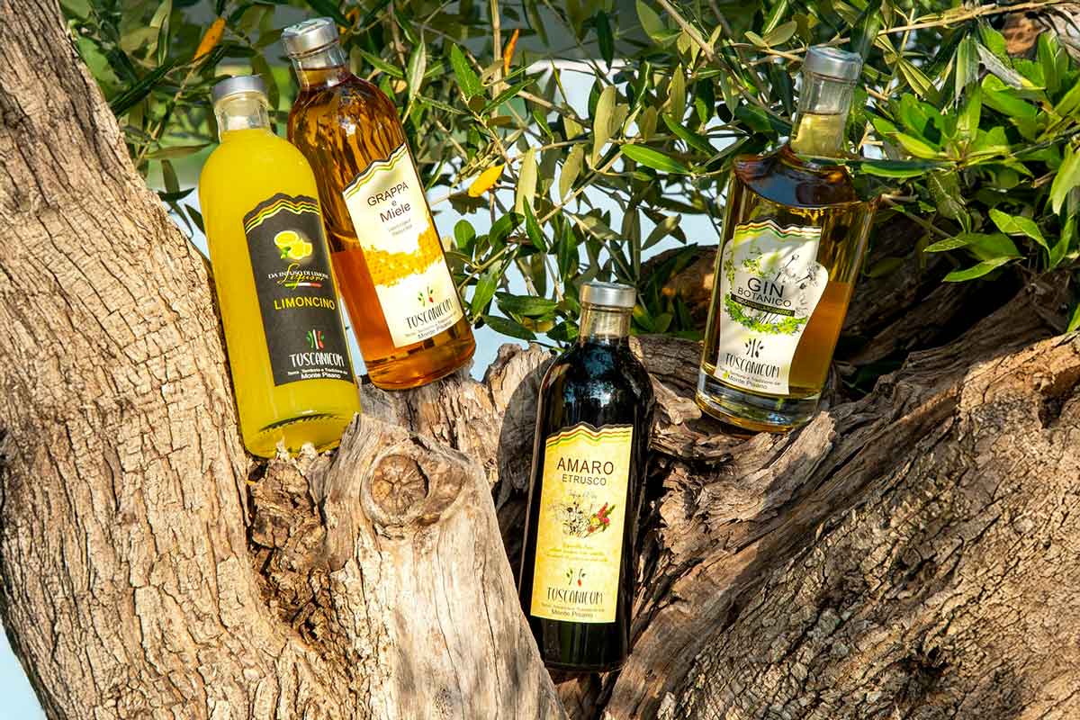 Il ristorante dove gli ingredienti contadini diventano Il ristorante dove gli ingredienti contadini diventano