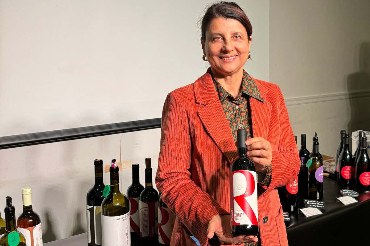 Nella Maremma grossettana il vino nasce in un ecosistema di filari, boschi e oliveti Nella Maremma grossettana il vino nasce in un ecosistema di filari, boschi e oliveti