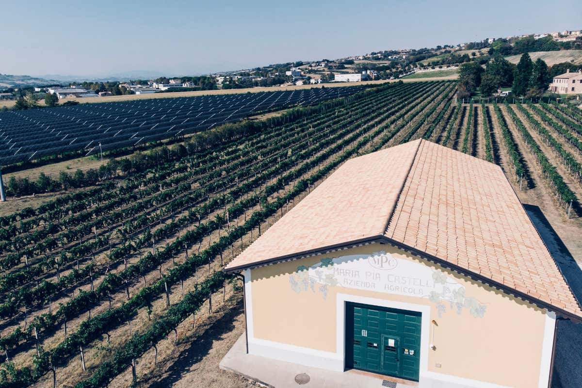 A Milano i vini marchigiani di Maria Pia Castelli sposano il gusto della carne argentina