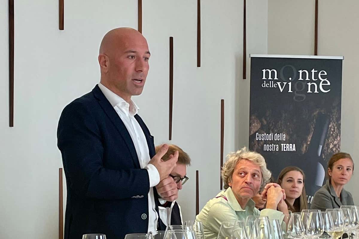 Il caldo anticipa una vendemmia in crescita, ma le cantine restano piene di vino invenduto Il caldo anticipa una vendemmia in crescita, ma le cantine restano piene di vino invenduto