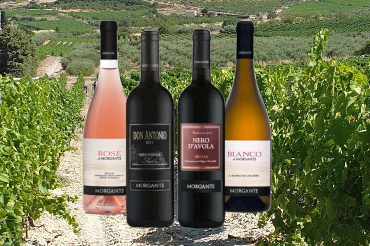 [Rosé] di Morgante: un'eccellente espressione del Nero d’Avola