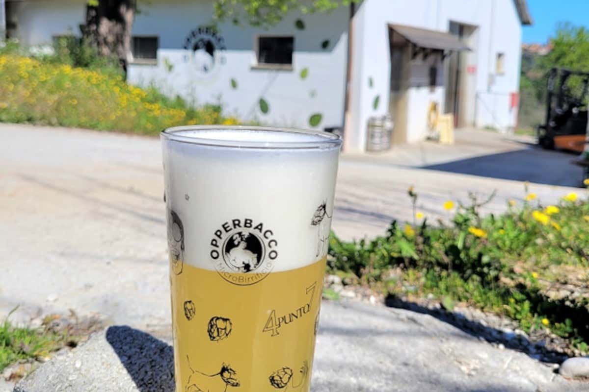 Dalla stalla all'agripub: come nasce un birrificio nei colli teramani