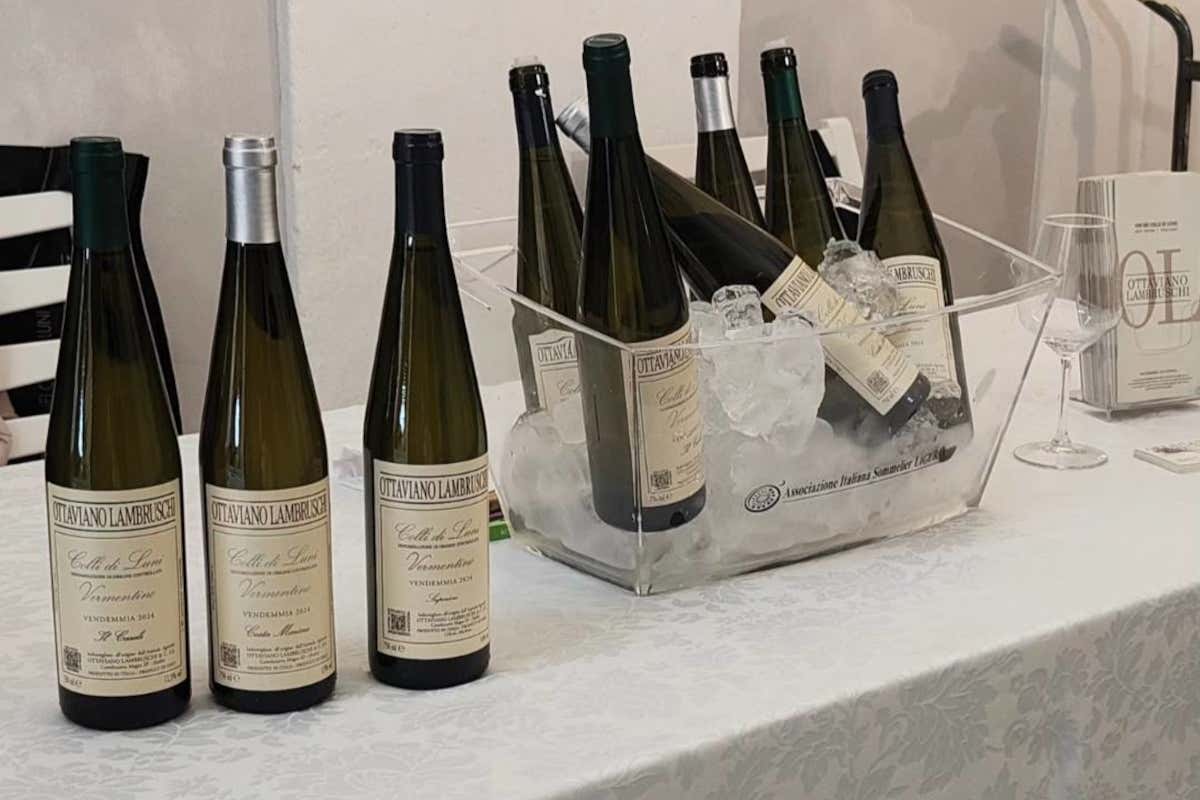 Dal Vermentino Nero agli spumanti underwater: le nuove frontiere dei produttori lunensi Dal Vermentino Nero agli spumanti underwater: le nuove frontiere dei produttori lunensi