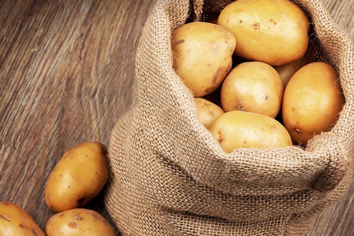 Giornata internazionale della patata: il tubero che unisce arte, poesia e cucina Giornata internazionale della patata: il tubero che unisce arte, poesia e cucina