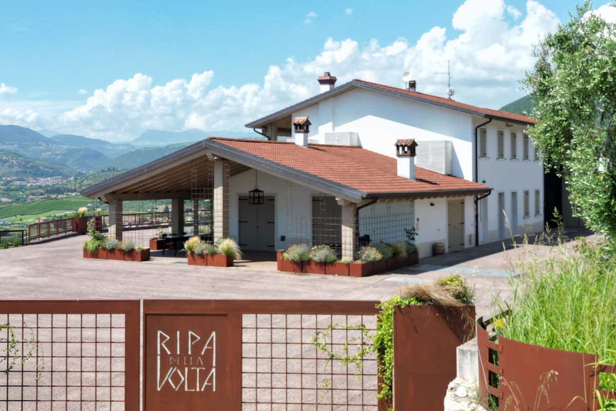 Viticoltura biologica e ricerca scientifica: il modello di Ripa della Volta