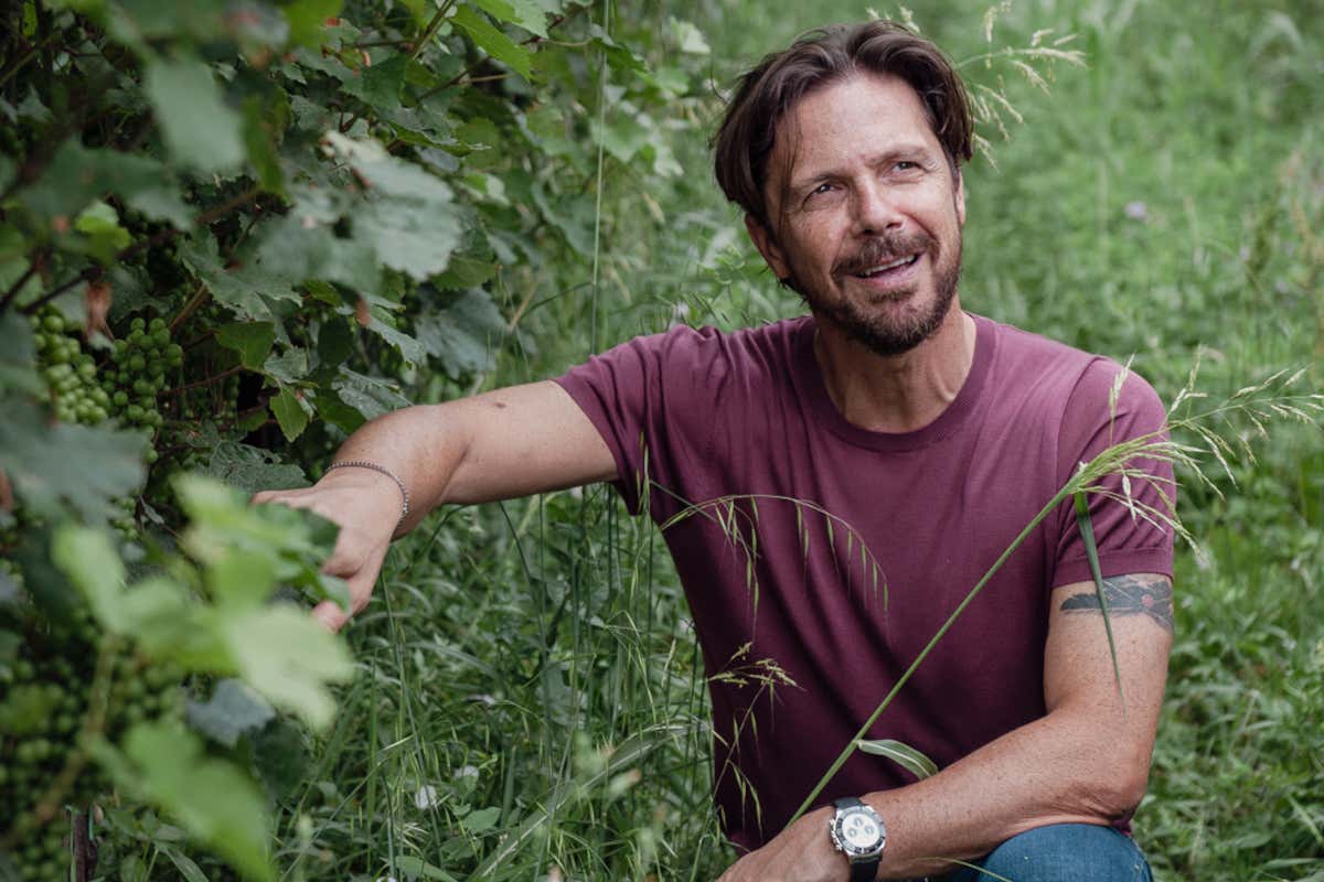 Viticoltura biologica e ricerca scientifica: il modello di Ripa della Volta