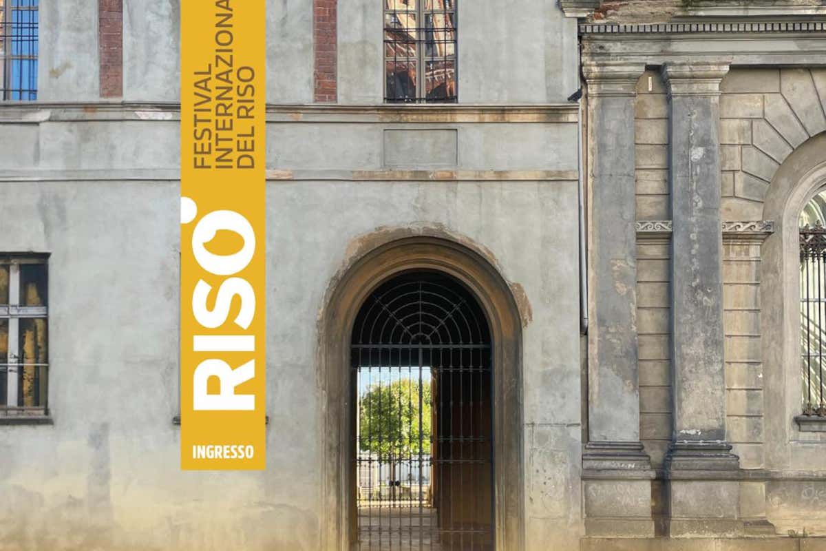 Risò, il festival che trasforma Vercelli nella capitale internazionale del riso