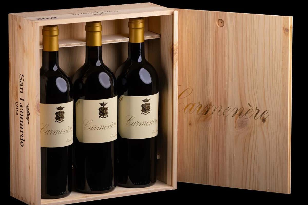 «Addio al biologico, scegliamo il buon senso»: il marchese Anselmo racconta il nuovo San Leonardo «Addio al biologico, scegliamo il buon senso»: il marchese Anselmo racconta il nuovo San Leonardo