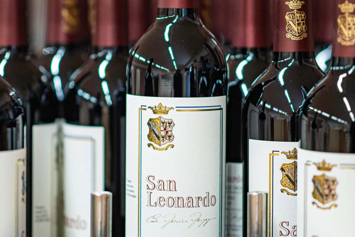 «Addio al biologico, scegliamo il buon senso»: il marchese Anselmo racconta il nuovo San Leonardo «Addio al biologico, scegliamo il buon senso»: il marchese Anselmo racconta il nuovo San Leonardo