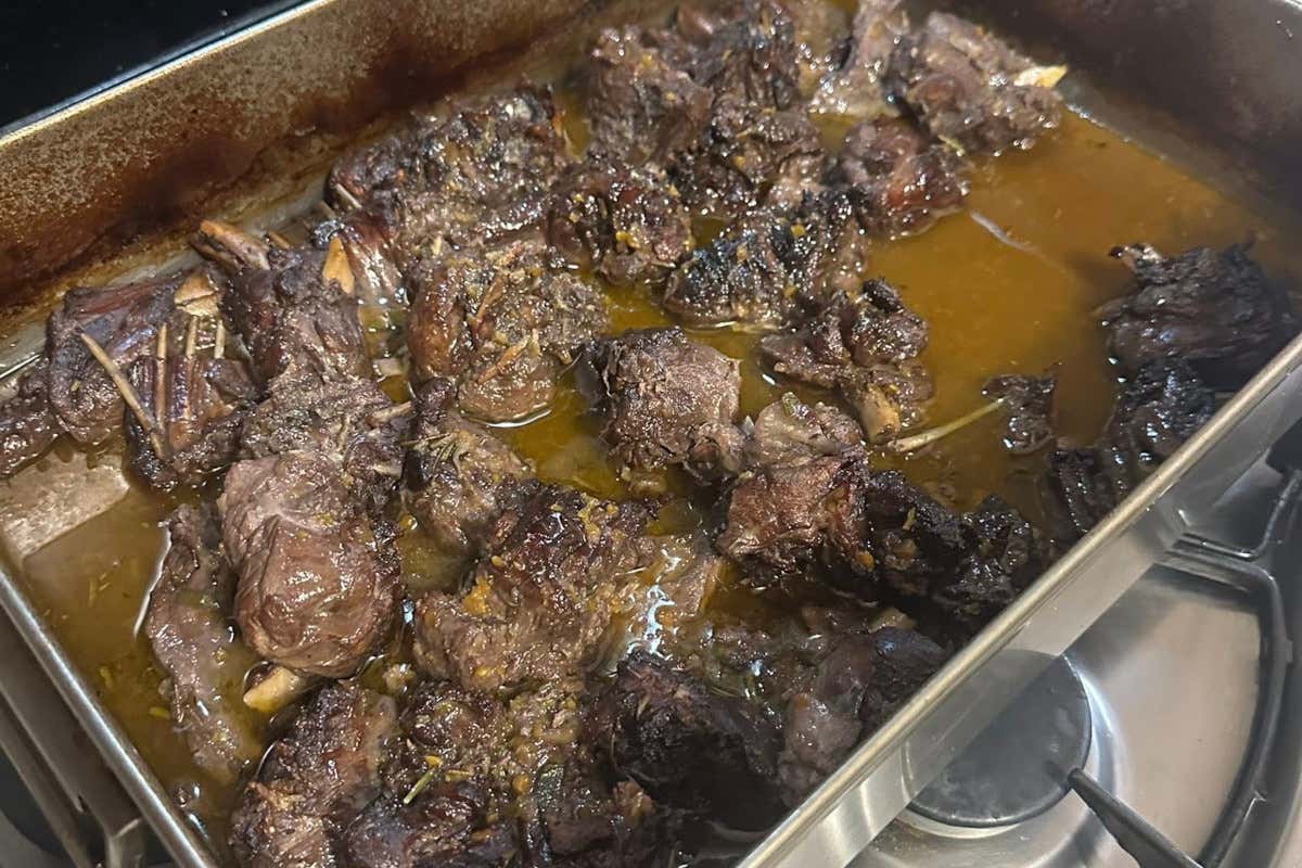 Dal roditore al piatto: la carne di nutria può arrivare anche al ristorante?