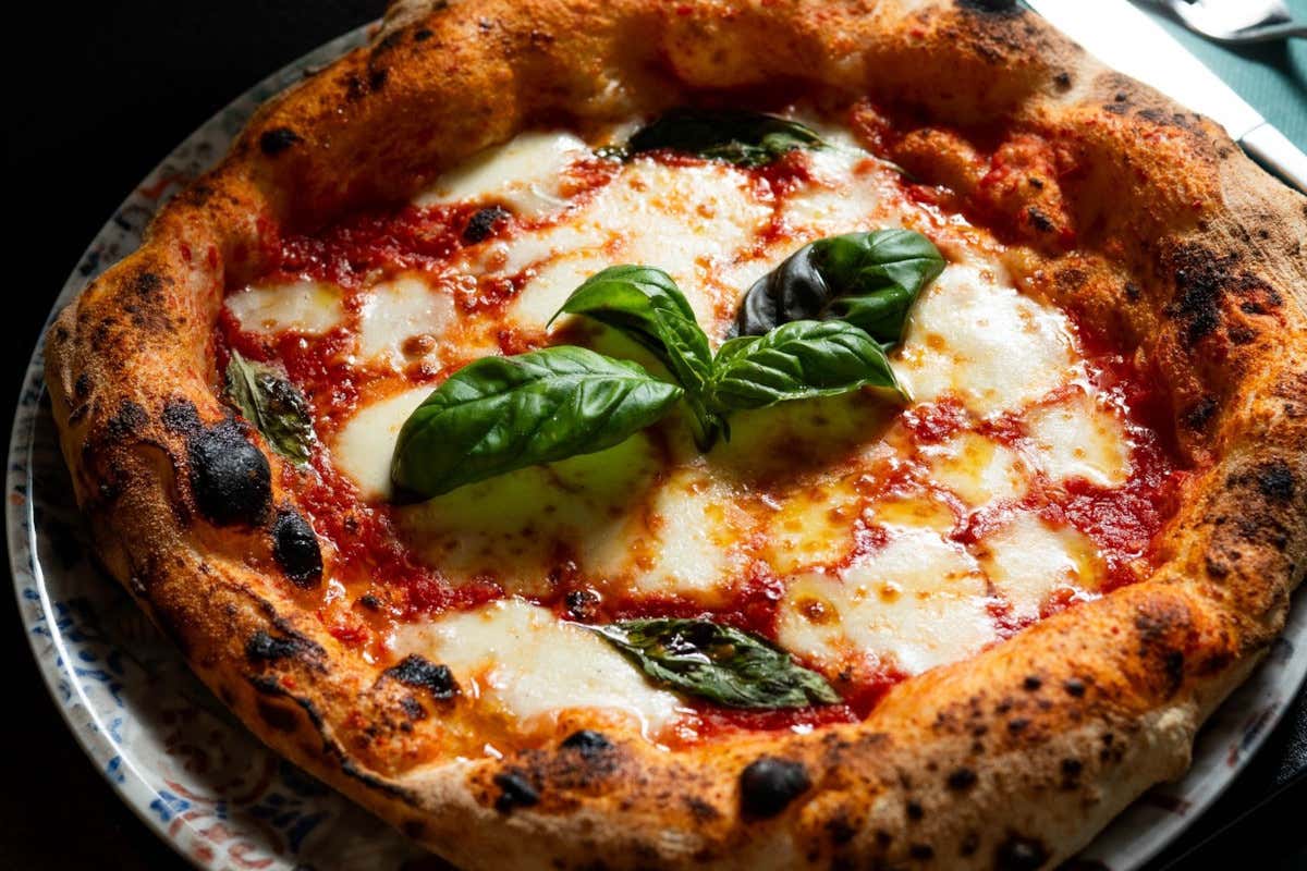 Succulenta, ma delicata: CityLife ospita la cucina del Sud a Milano Succulenta, ma delicata: CityLife ospita la cucina del Sud a Milano