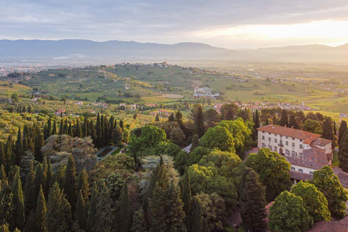Capezzana, 100 anni nel calice: la verticale che racconta un secolo di vino