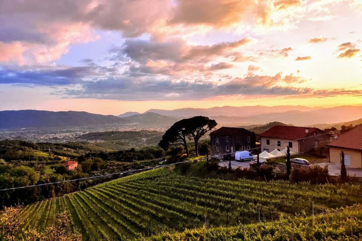 Emilia in rosa: l'11ª tappa del Giro d'Italia tra Viareggio e Castelnovo ne' Monti