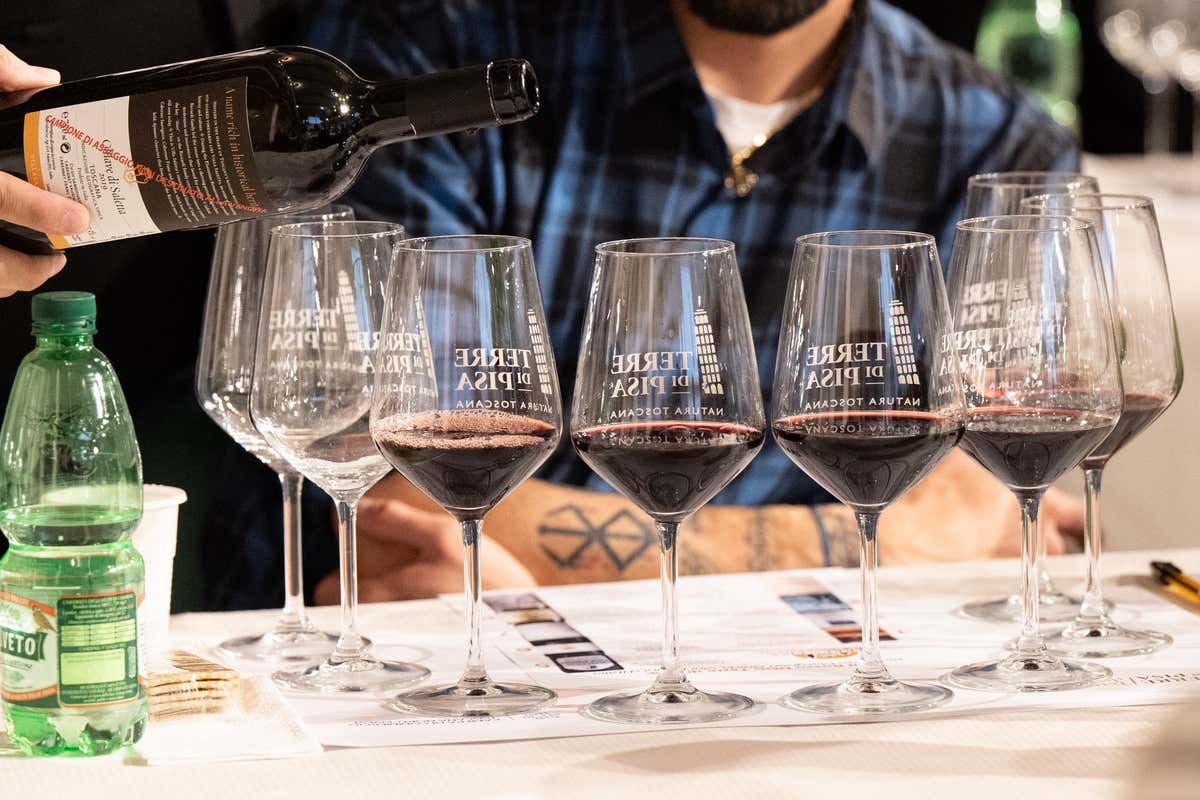 Terre di Pisa: viaggio tra tartufi e eccellenze locali al Food & Wine Fest Terre di Pisa: viaggio tra tartufi e eccellenze locali al Food & Wine Fest