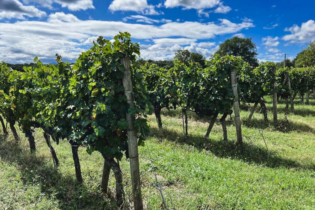 Umbria in rosa: la 9ª tappa del Giro d'Italia tra Gubbio e Siena