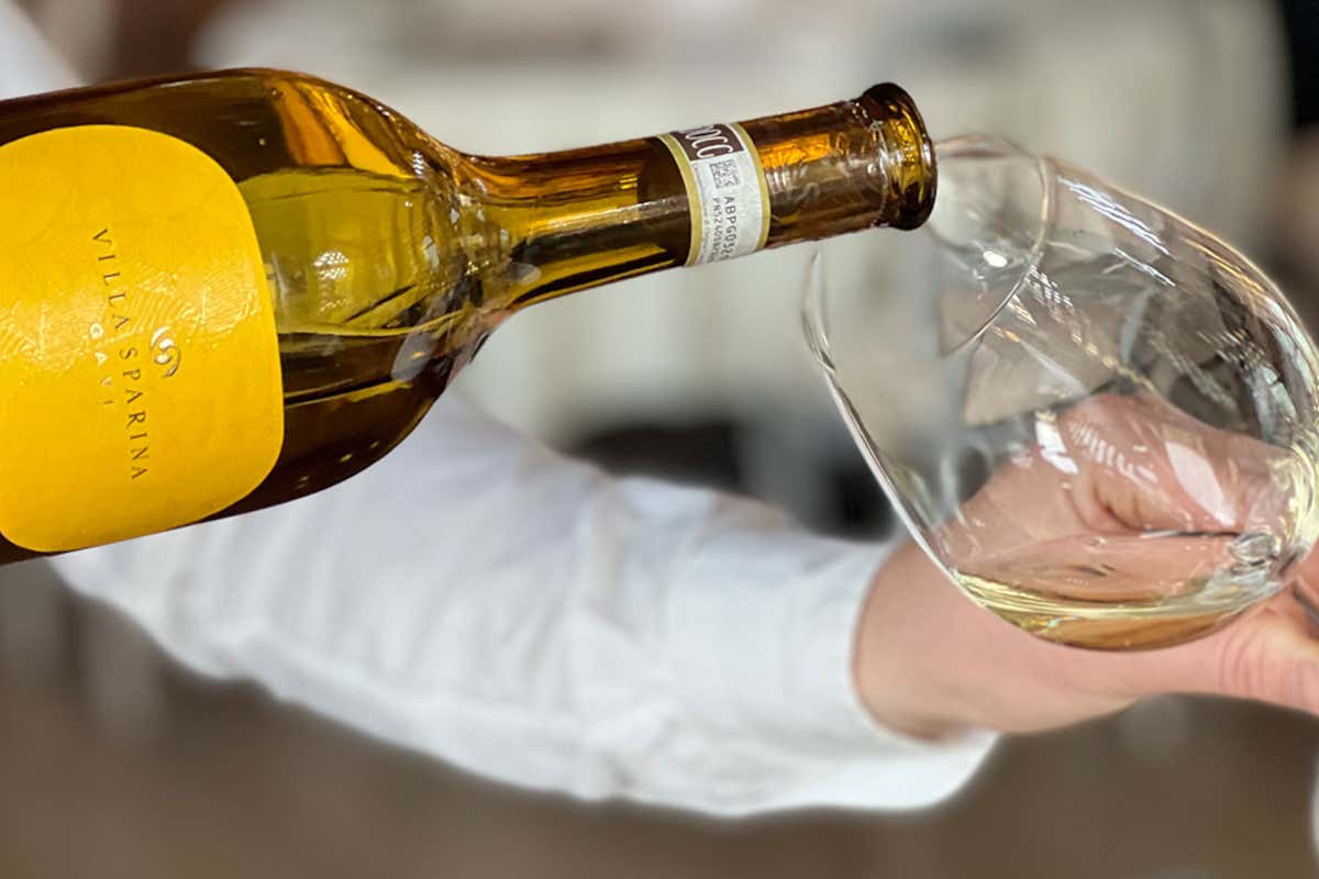 Villa Sparina, il Gavi che fa scuola: così si conquista il New York Times (e il mondo) Villa Sparina, il Gavi che fa scuola: così si conquista il New York Times (e il mondo)