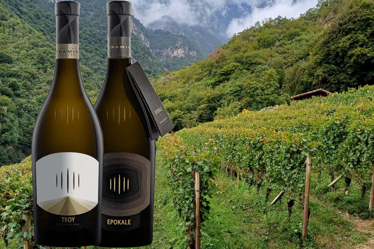 Cantina Tramin è la migliore cooperativa vinicola al mondo per Weinwirtschaft