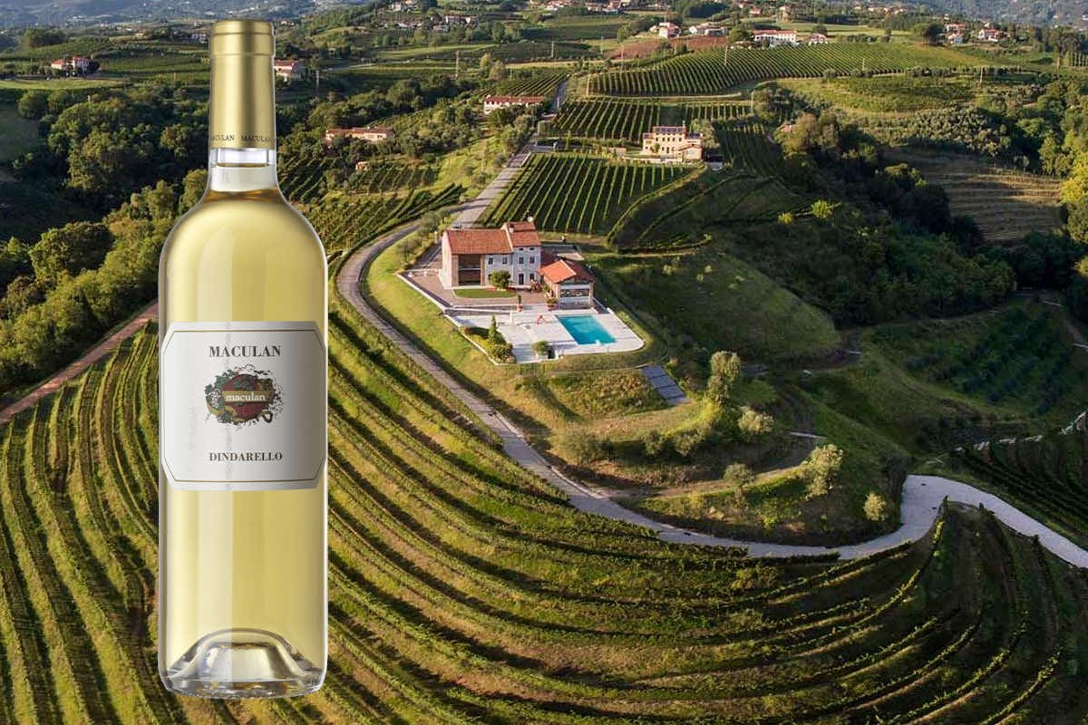 Fausto Maculan: il provocatore del vino dolce che osa con i piatti salati