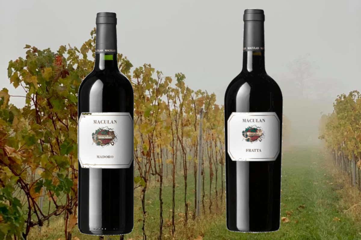 Fausto Maculan: il provocatore del vino dolce che osa con i piatti salati