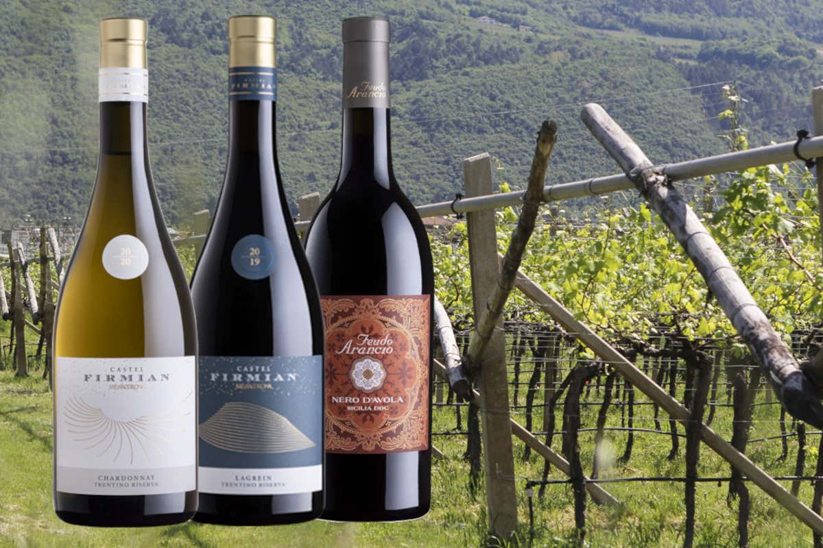 Mezzacorona è il miglior produttore italiano del Mundus Vini Spring Tasting