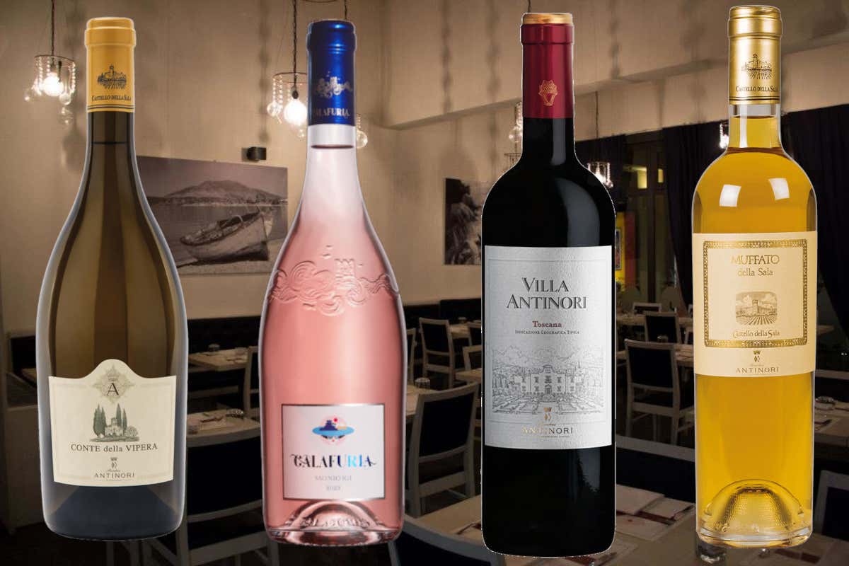 Calici&Spicchi: pizza e vino in perfetta armonia al Vecchio e il Mare Calici&Spicchi: pizza e vino in perfetta armonia al Vecchio e il Mare