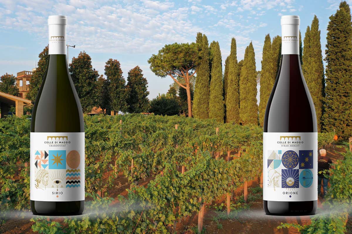 Colle di Maggio: l'azienda vinicola che racconta il Lazio in bottiglia Colle di Maggio: l'azienda vinicola che racconta il Lazio in bottiglia