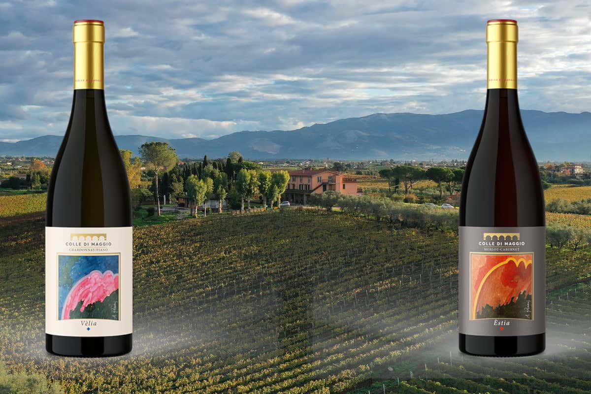 Colle di Maggio: l'azienda vinicola che racconta il Lazio in bottiglia Colle di Maggio: l'azienda vinicola che racconta il Lazio in bottiglia