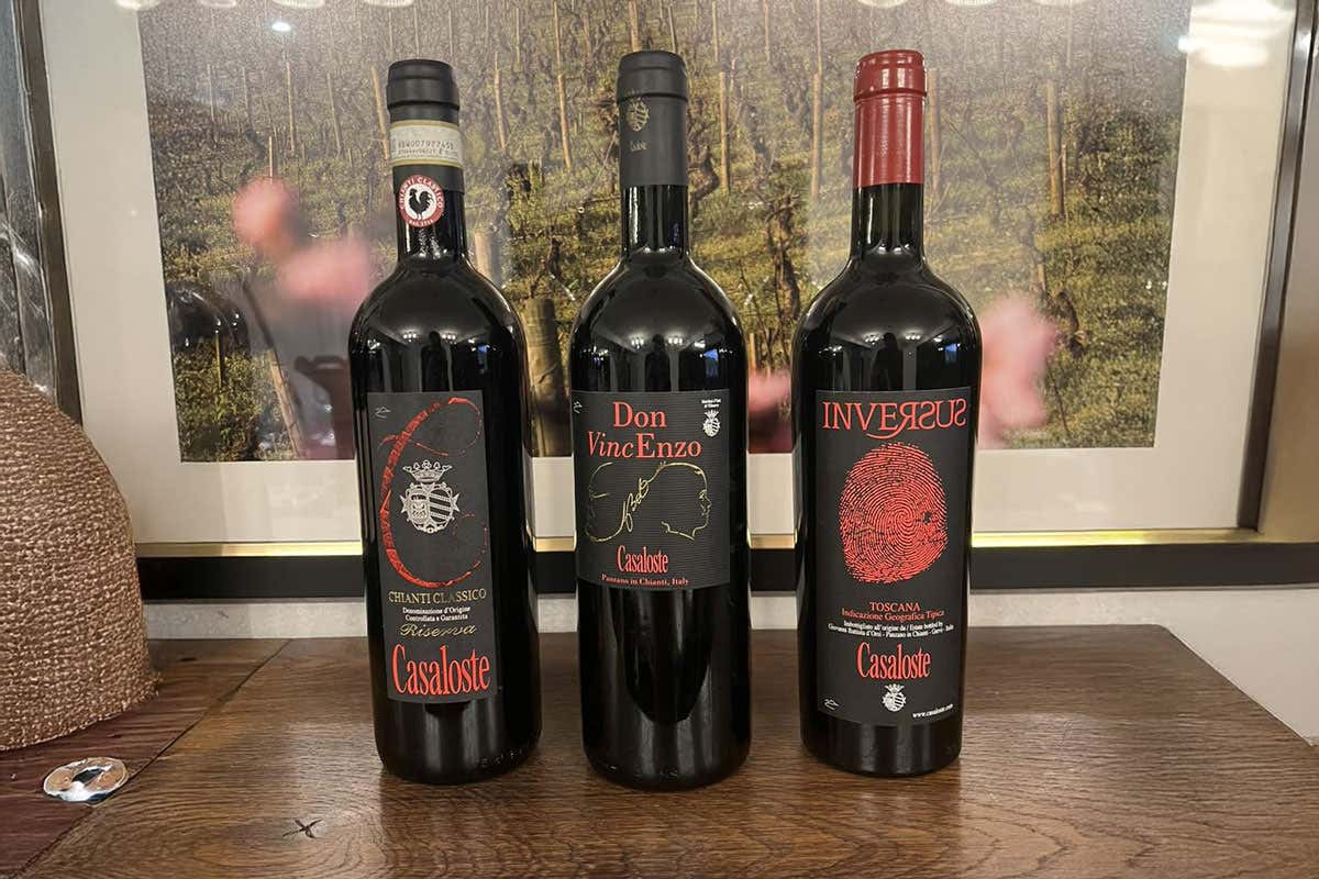 Giovanni D’Orsi e il sogno di Casaloste: vini, tradizione e sostenibilità