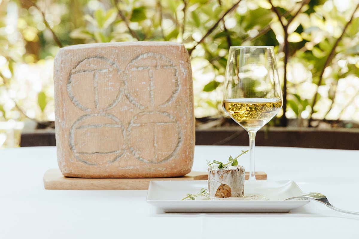 Taleggio DOP, un'antica ricetta che tramanda una bontà morbida e avvolgente