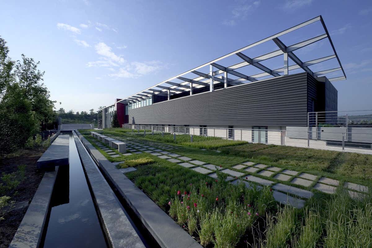 Ecco il laboratorio del vino italiano che in Irpinia sfida clima, mercato e identità