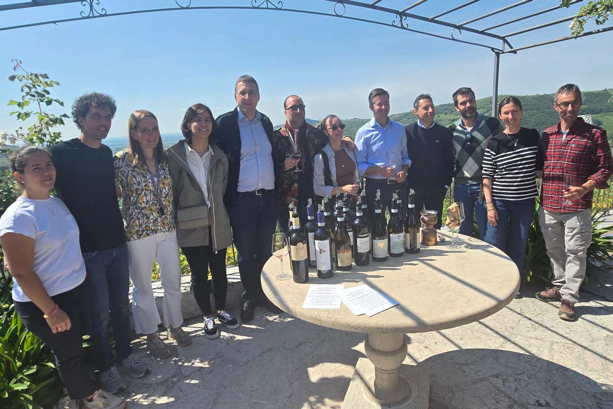 12 aziende e un’idea comune: la Valle di Mezzane prova a diventare sottozona ufficiale 12 aziende e un’idea comune: la Valle di Mezzane prova a diventare sottozona ufficiale