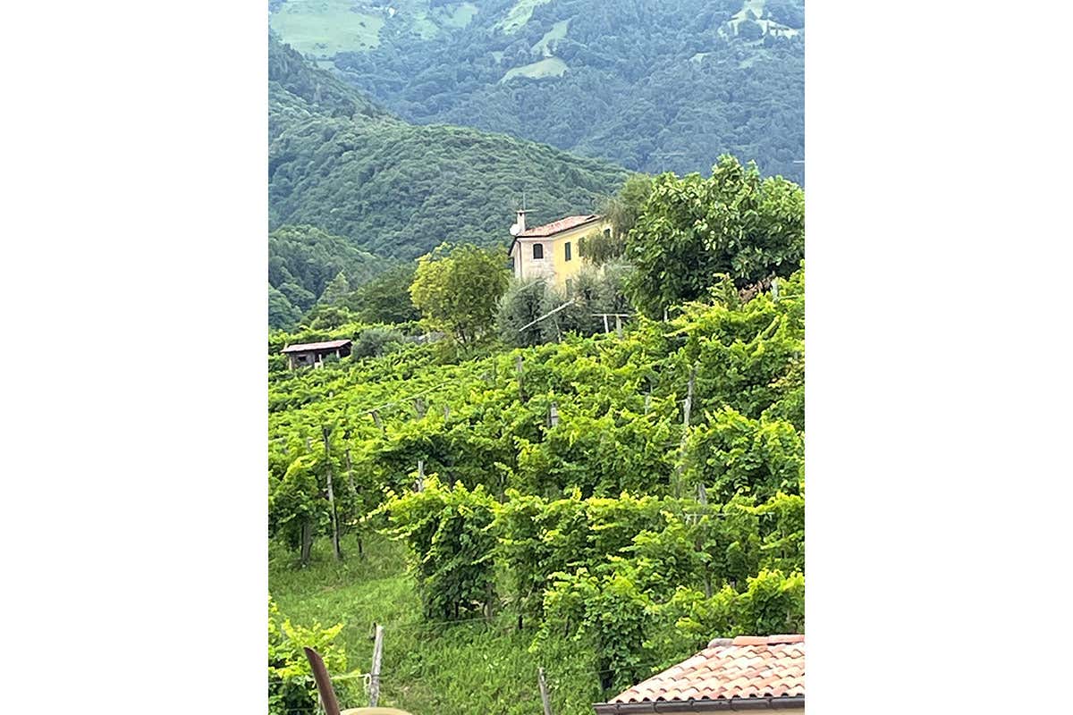 Le colline di Valdobbiadene Foss Marai: qualità, eleganza e legame con il territorio