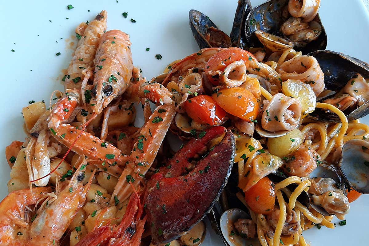 Enogastronomia all'altezza Albarella, vacanze slow nell&rsquo;isola green alla Foce del Po