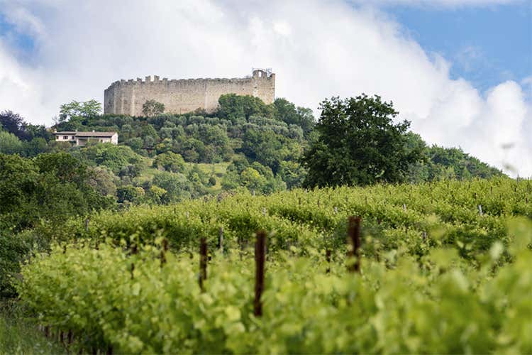 I vigneti rivolti alla Rocca - Viaggio tra i borghi d'Italia Asolo, la città dai cento orizzonti