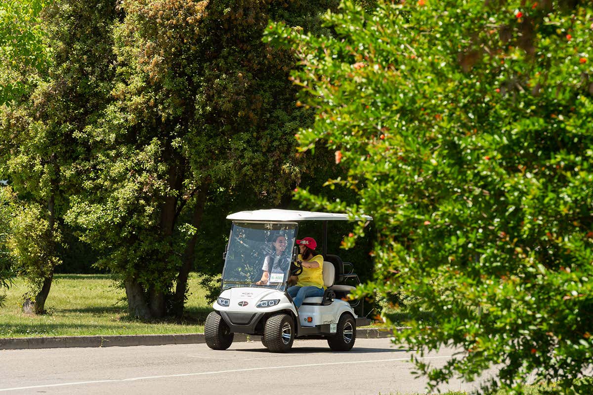 Tanti modi per muoversi sull'isola Albarella, vacanze slow nell&rsquo;isola green alla Foce del Po