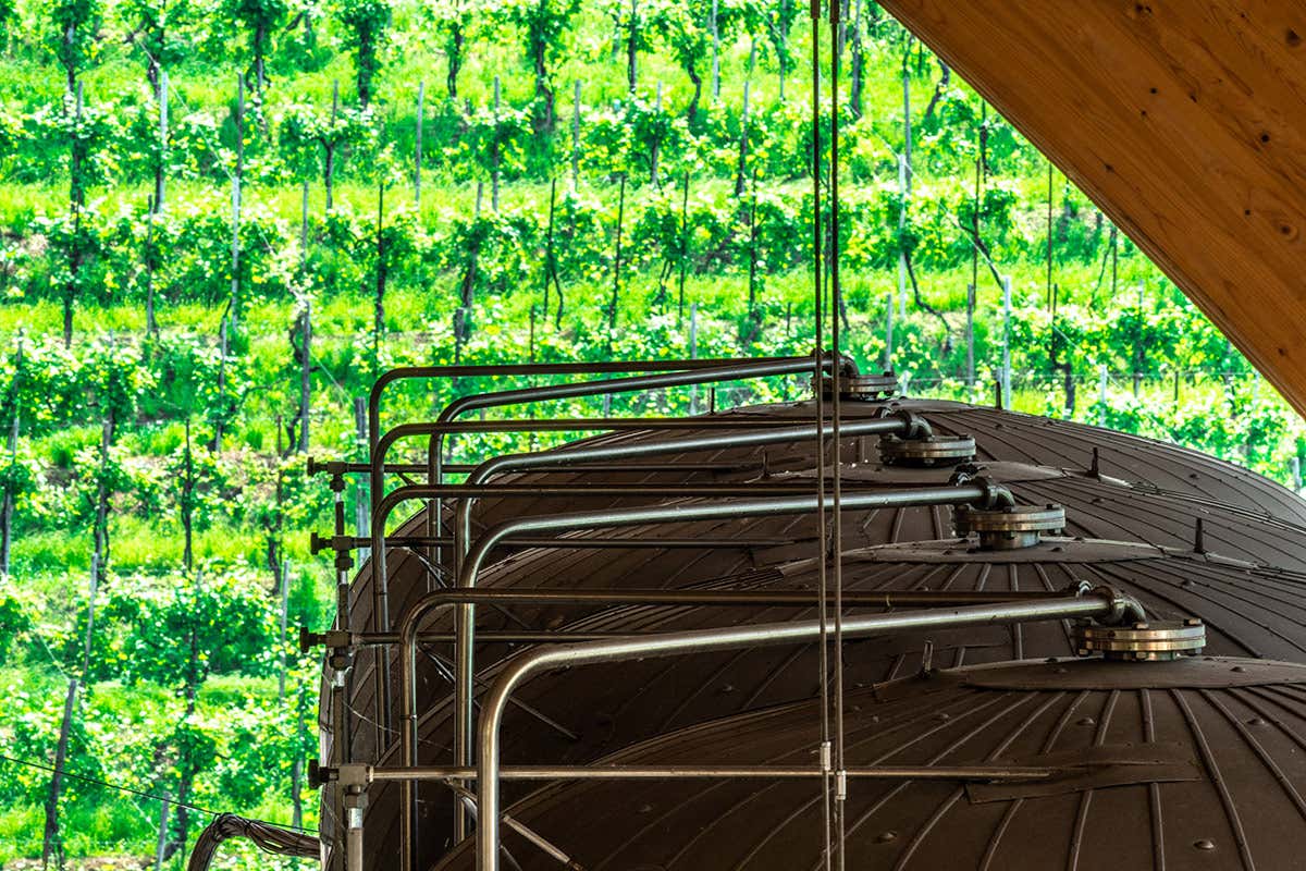 Autoclavi con vista Foss Marai: qualità, eleganza e legame con il territorio