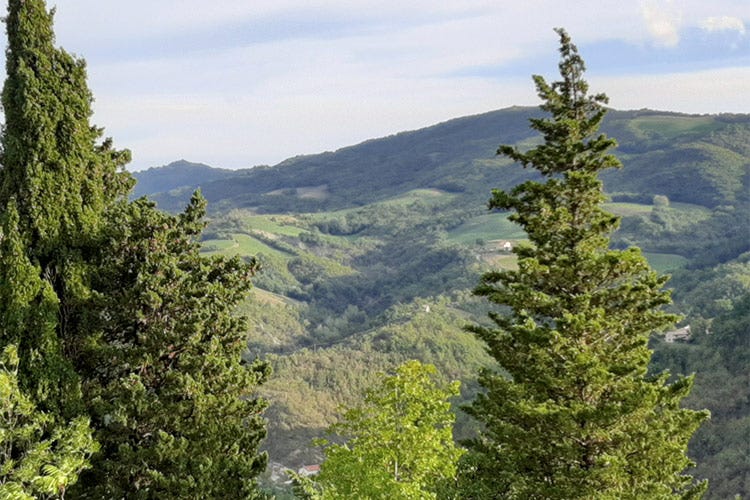 Il panorama dal monte Pie Tralata - Viaggio tra i borghi d’Italia Acqualagna, capitale del tartufo