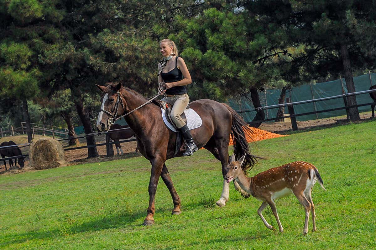 a scuola di equitazione Albarella, vacanze slow nell’isola green alla Foce del Po