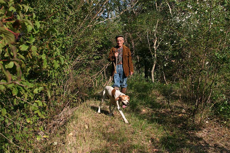Un cercatore di tartufi - Viaggio tra i borghi d&rsquo;Italia Acqualagna, capitale del tartufo