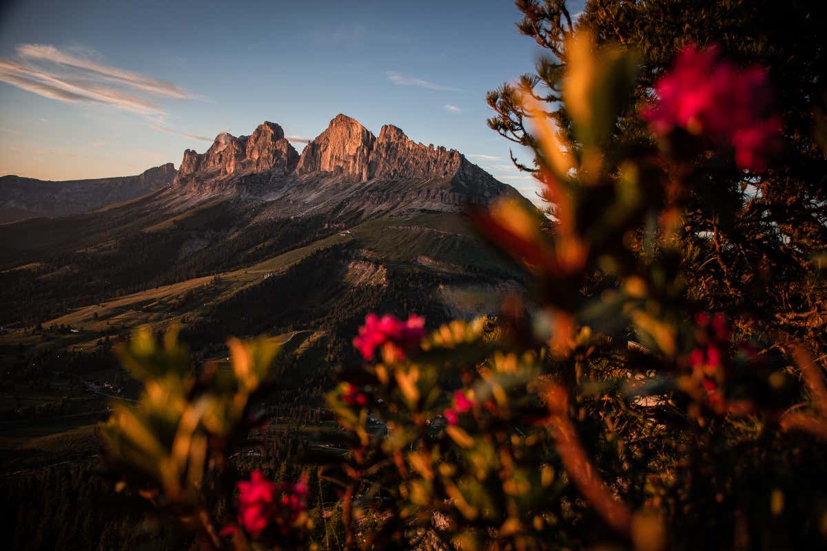 Vivere appieno la Val d'Ega in estate tra escursioni, bici e gastronomia