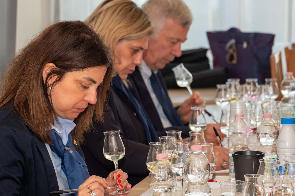 Alambicco d'Oro 2025: 100 le medaglie, miglior punteggio per Distilleria Sibona