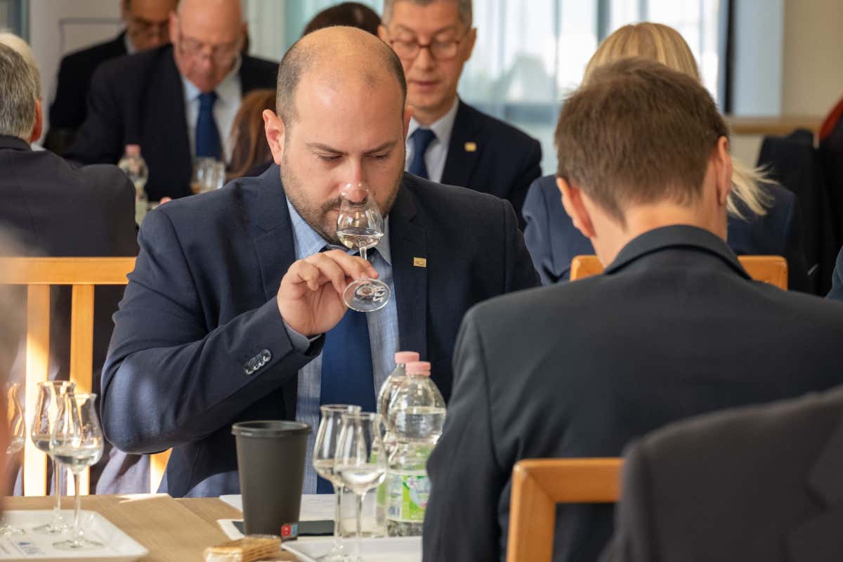 Alambicco d'Oro 2025: 100 le medaglie, miglior punteggio per Distilleria Sibona